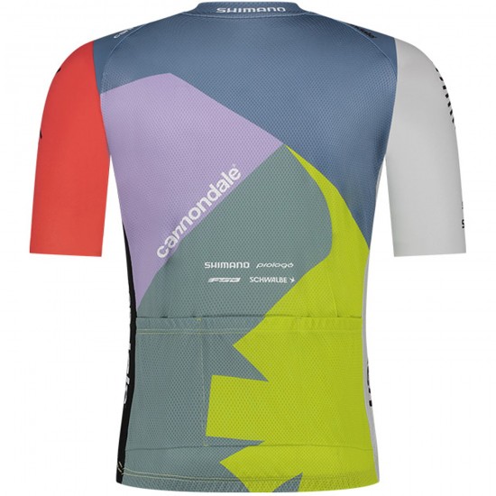 Maglia Ale VF Group-Bardiani CSF-Faizane 2024 da uomo Maglia Ale VF Group-Bardiani CSF-Faizane 2024 da uomo