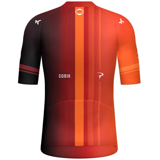 Maglia Gobik FDJ Suez 2024 da uomo Maglia Gobik FDJ Suez 2024 da uomo