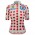 Maglia Pois Women's Tour de France 2025 Fan Line da donna