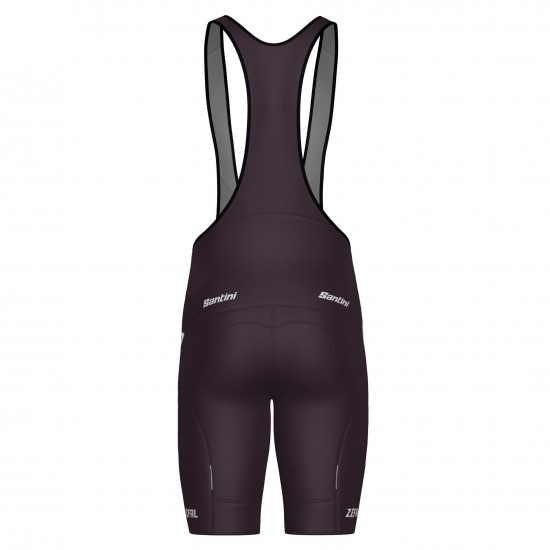 Abbigliamento uomo Pantaloncini con bretelle Team Lapierre 2025 Santini-Bordeaux Abbigliamento uomo Pantaloncini con bretelle Team Lapierre 2025 Santini-Bordeaux