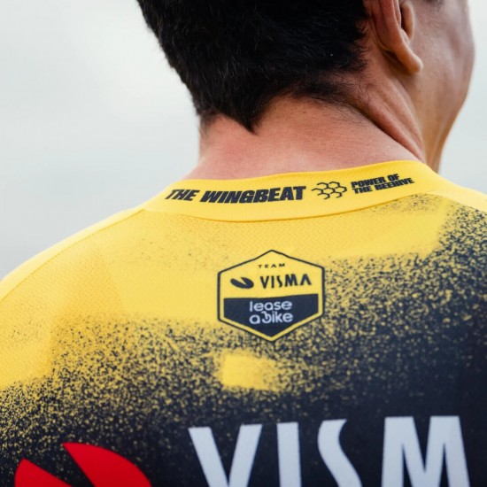 Maglia da uomo Team Visma Lease a Bike 2025 The Wingbeat Maglia da uomo Team Visma Lease a Bike 2025 The Wingbeat