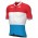 Maglia da ciclismo a manica corta campione del Lussemburgo GROUPAMA-FDJ 2022-ALE Squadra di ciclismo professionale